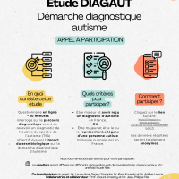 Etude DIAGAUT